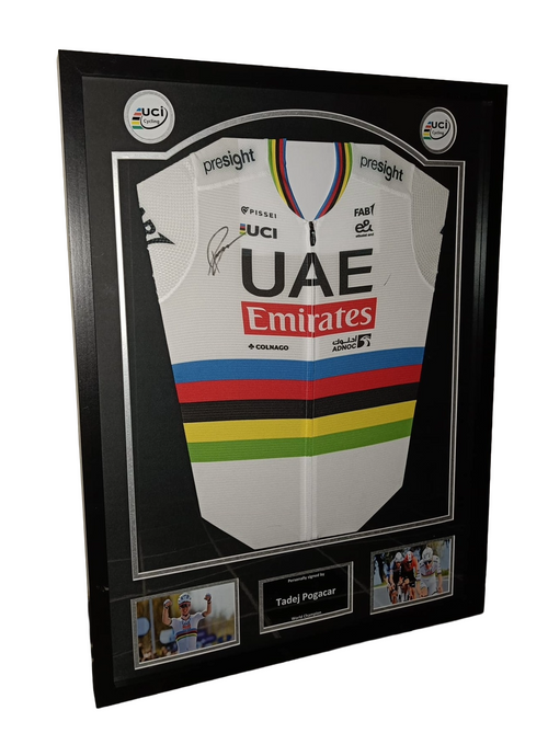Framed cycling shirt