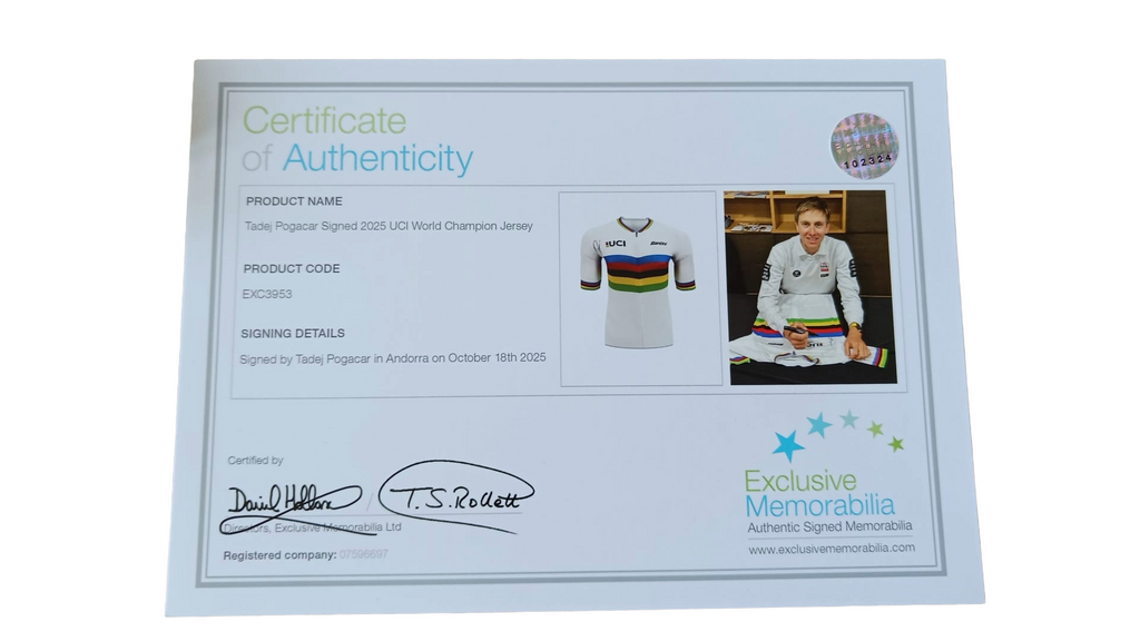 Signed world champion jersey - Tadej Pogacar - Iconic Frame